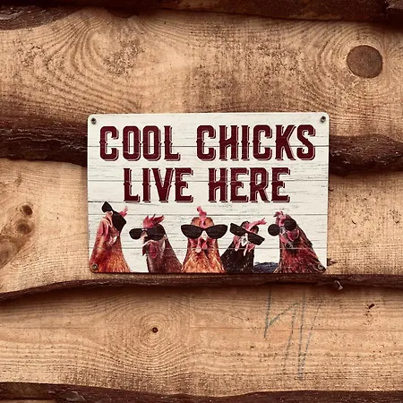 Pipi Vityillo * Fuzerradvany