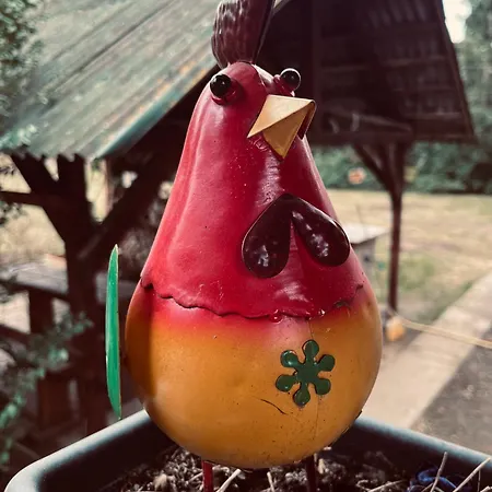 Pipi Vityillo アパート *