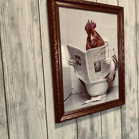 Apartament Pipi Vityillo *