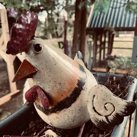 Pipi Vityillo Lägenhet Fuzerradvany