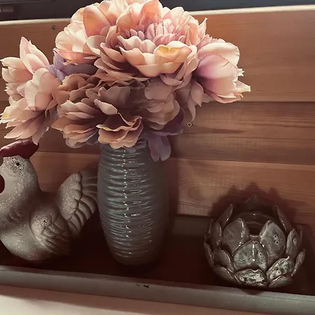 Pipi Vityillo Fuzerradvany