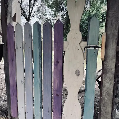 Pipi Vityillo Fuzerradvany