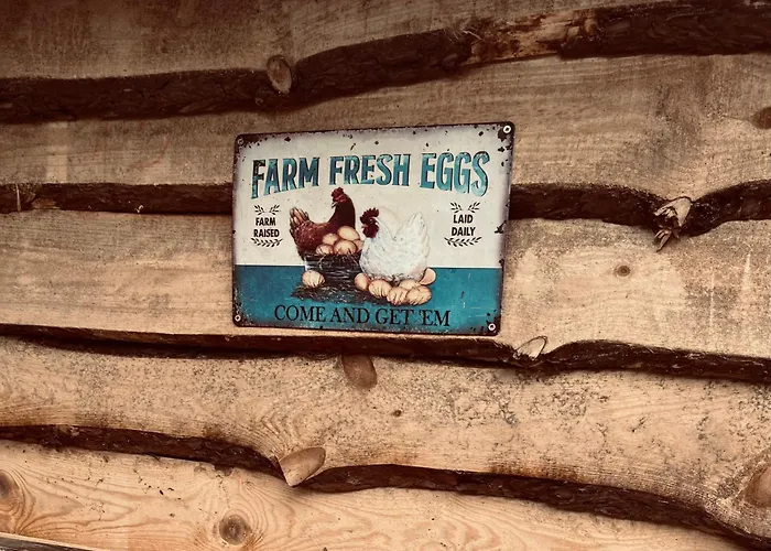 Pipi Vityilló Apartamento